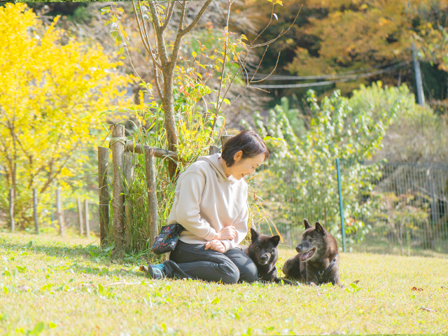 トレーナーと甲斐犬